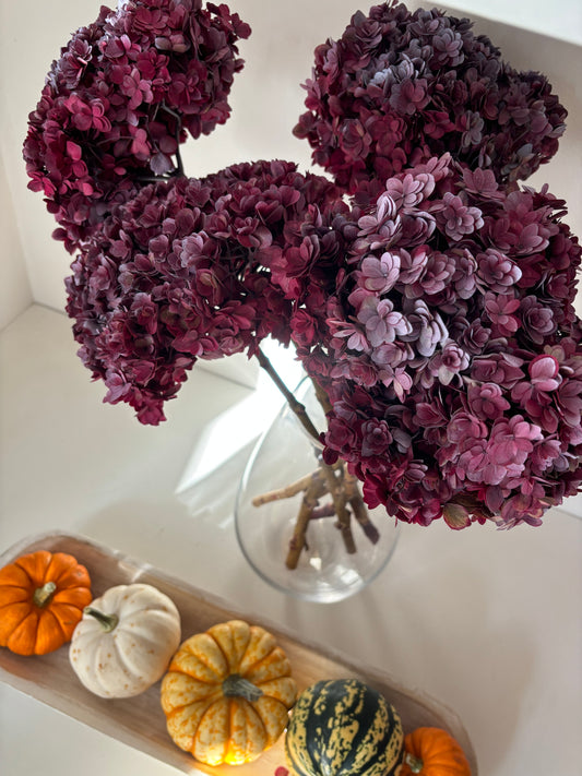 Large Burgundy Preserved Hydrangea