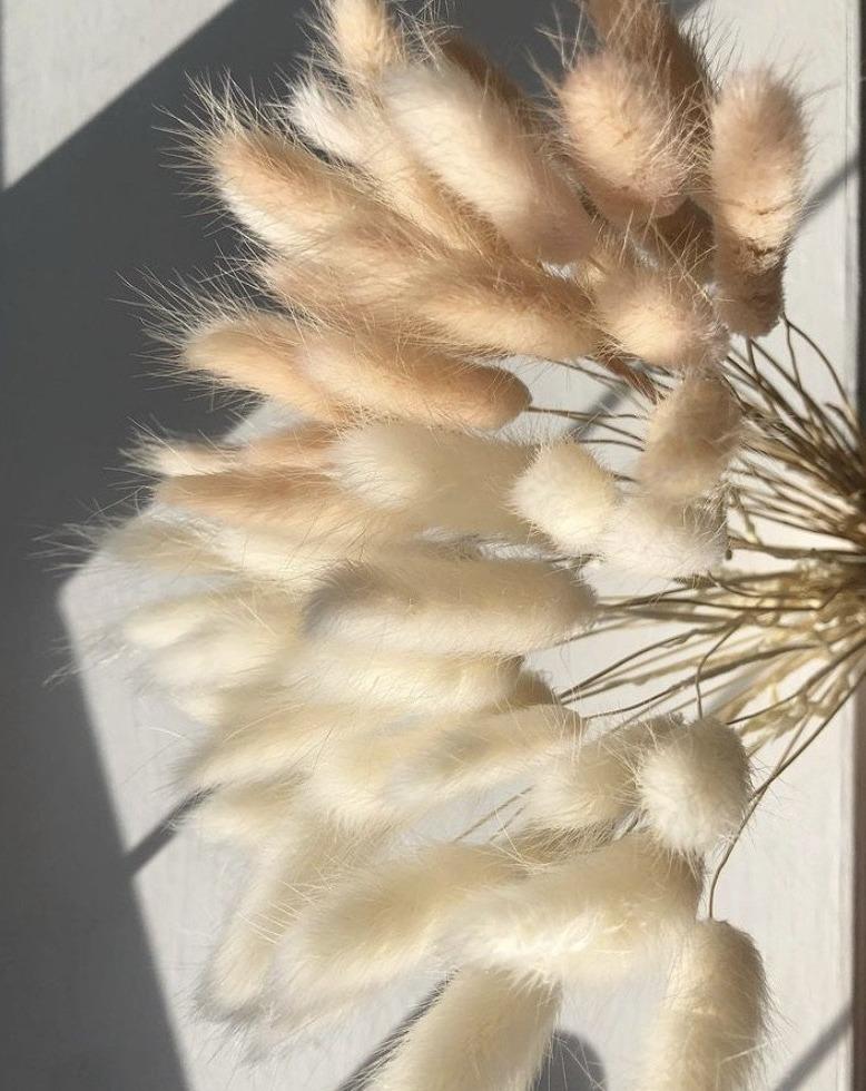 Light Pink & Bleached Bunny Tails